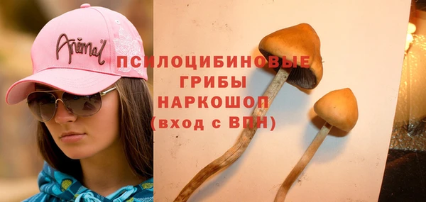 2c-b Абдулино